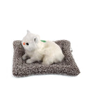 Stuffed Toy Cat