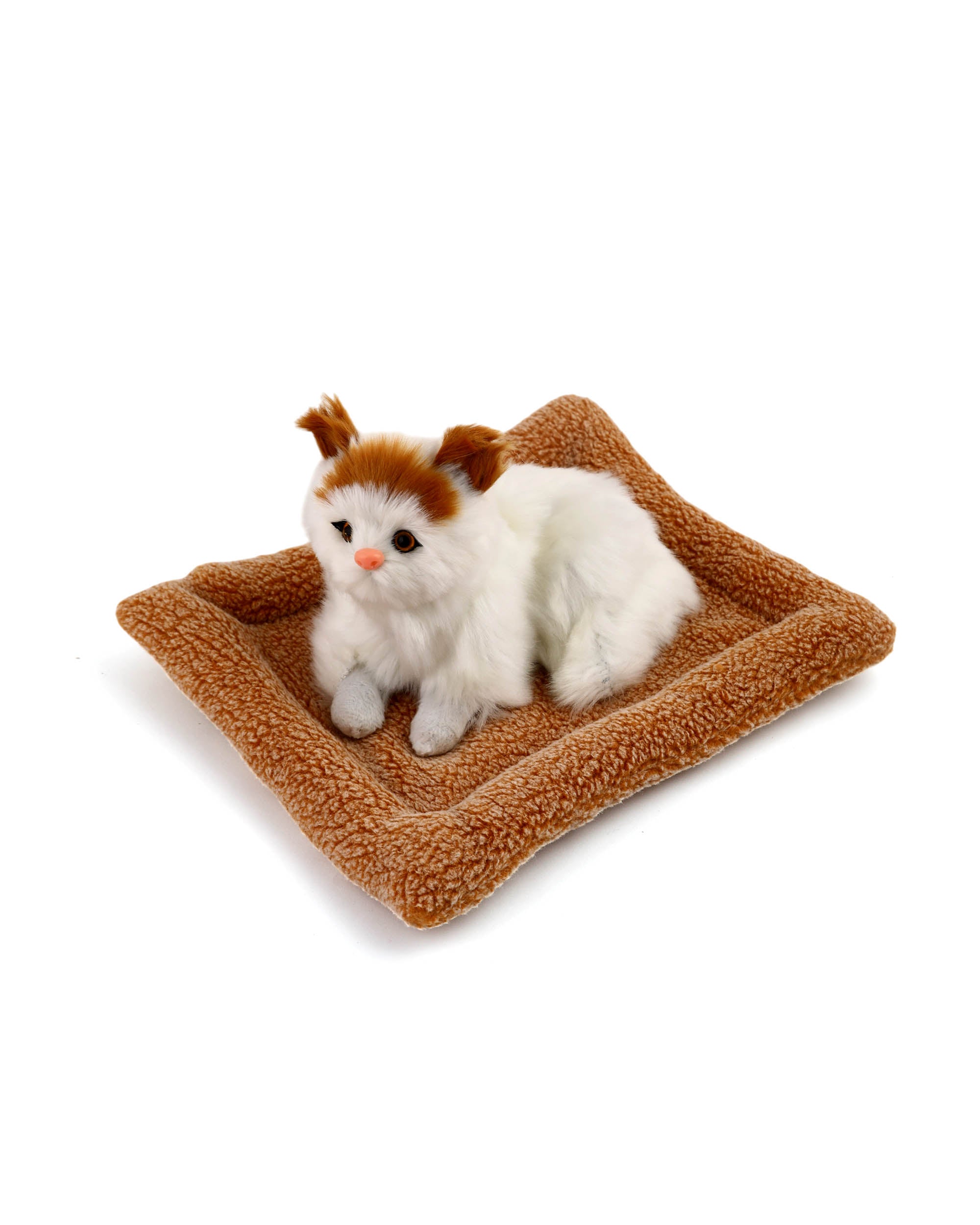 Stuffed Toy Cat