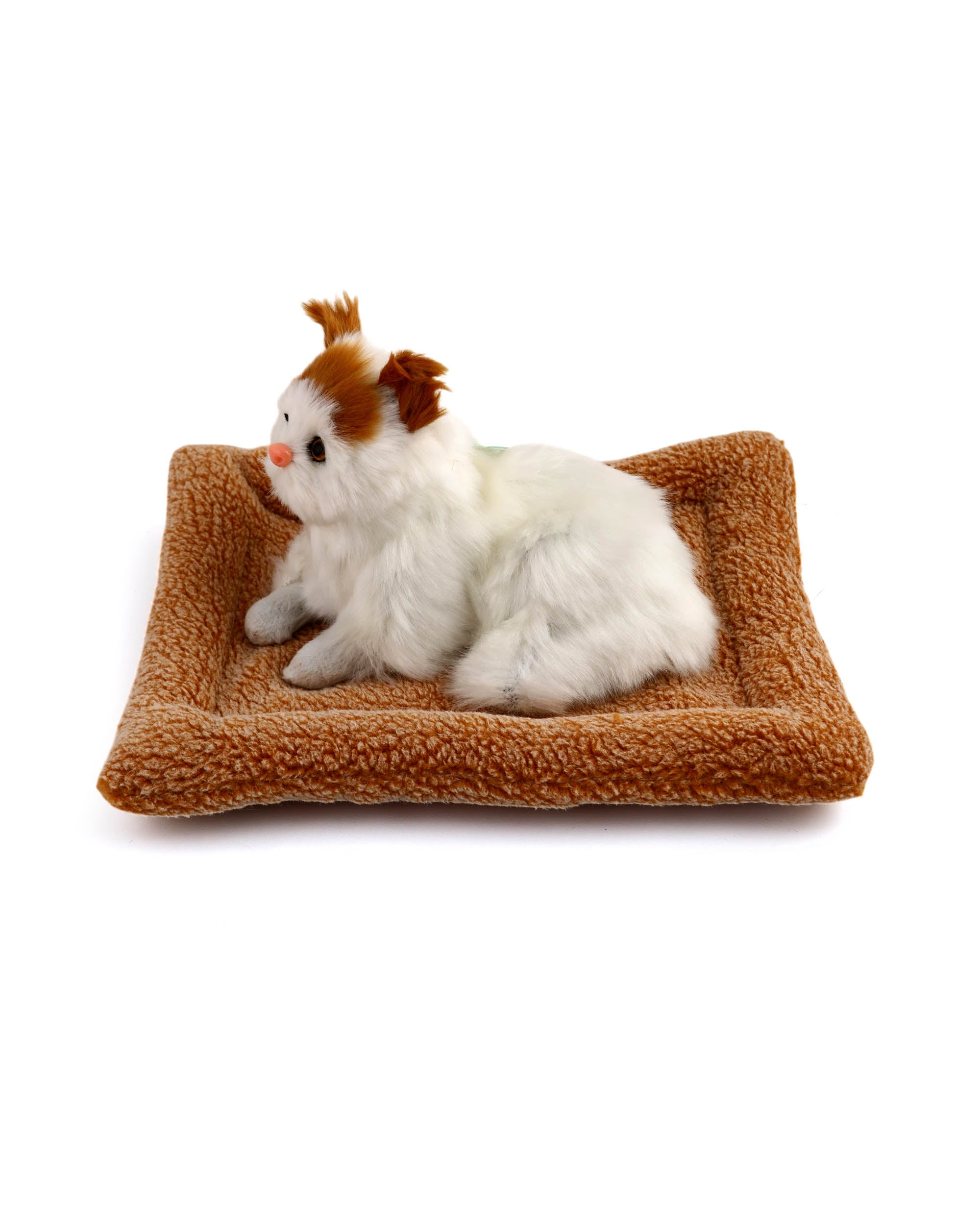 Stuffed Toy Cat