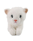 Stuffed Toy Cat- 25cm