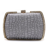 Women's Fancy Clutch - Silver, Women Clutches, Chase Value, Chase Value