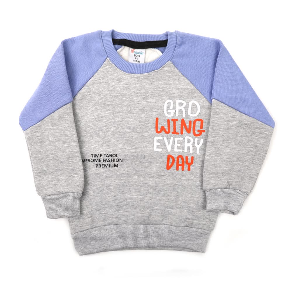 Boys Round Neck Full Sleeves T-Shirt - Grey, Boys T-Shirts, Chase Value, Chase Value