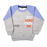 Boys Round Neck Full Sleeves T-Shirt - Grey, Boys T-Shirts, Chase Value, Chase Value