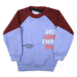 Boys Round Neck Full Sleeves T-Shirt - Purple, Boys T-Shirts, Chase Value, Chase Value
