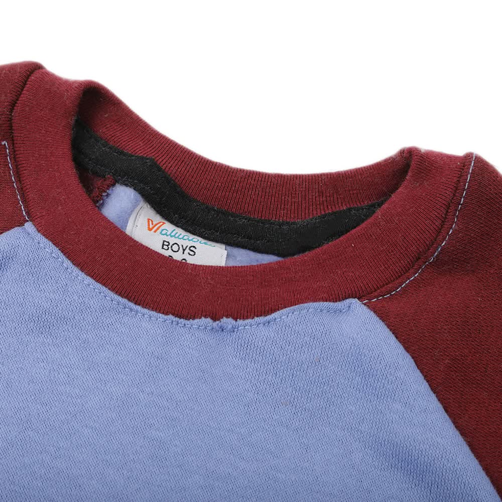 Boys Round Neck Full Sleeves T-Shirt - Purple, Boys T-Shirts, Chase Value, Chase Value