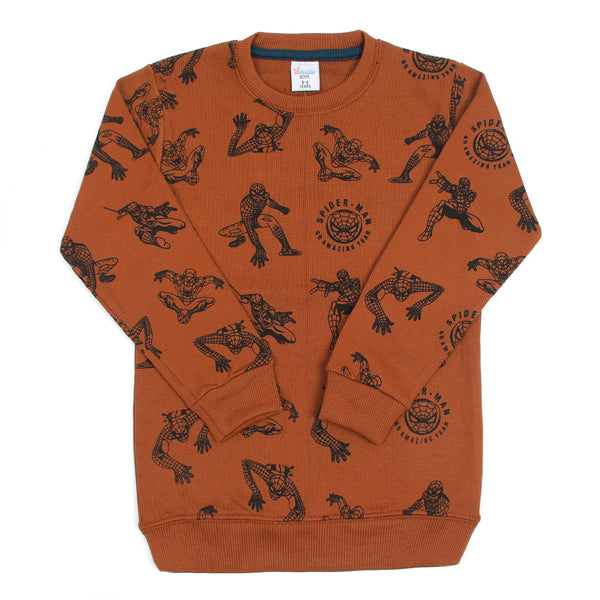 Boys Full Sleeves Sweatshirt - Brown