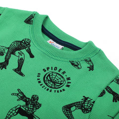 Boys Full Sleeves SweatShirt - Green