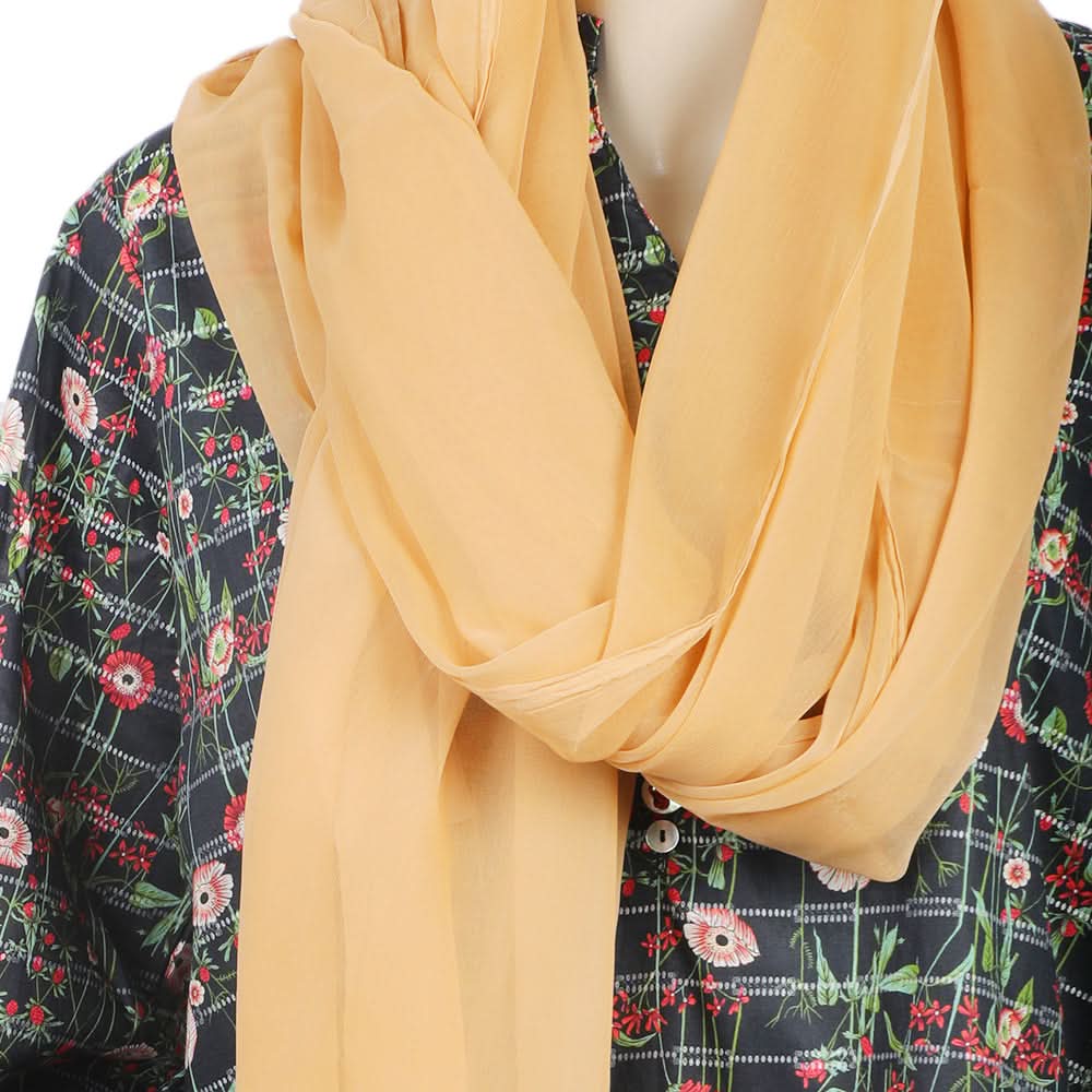 Valuable Women's Chiffon Plain Dupatta - Skin, Women Dupatta, Chase Value, Chase Value