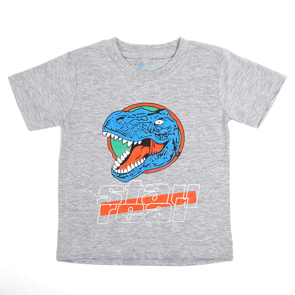 Boys Half Sleeves T-Shirt - Grey, Boys T-Shirts, Chase Value, Chase Value