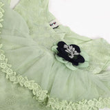 Newborn Girls Half Sleeves Suit - Light Green, Newborn Girls Sets & Suits, Chase Value, Chase Value