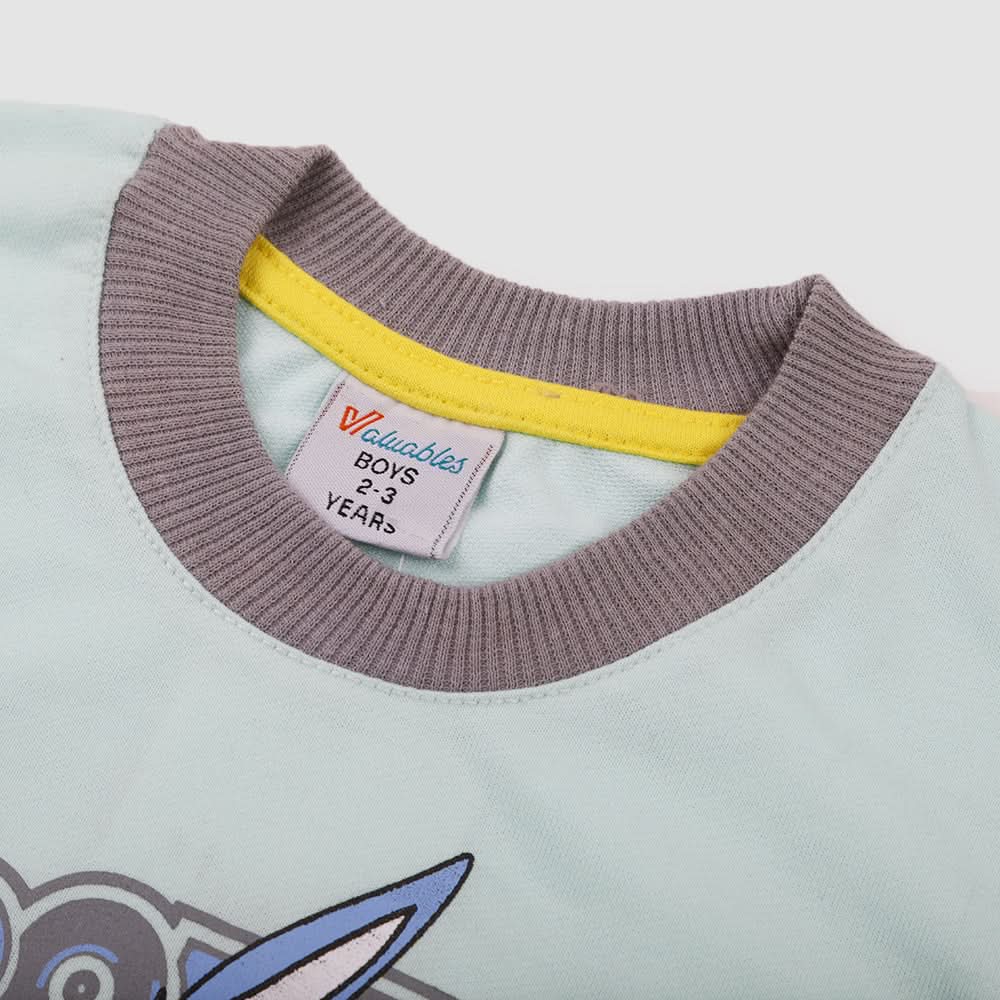 Boys Full Sleeves SweatShirt - Cyan, Boys Hoodies & Sweat Shirts, Chase Value, Chase Value