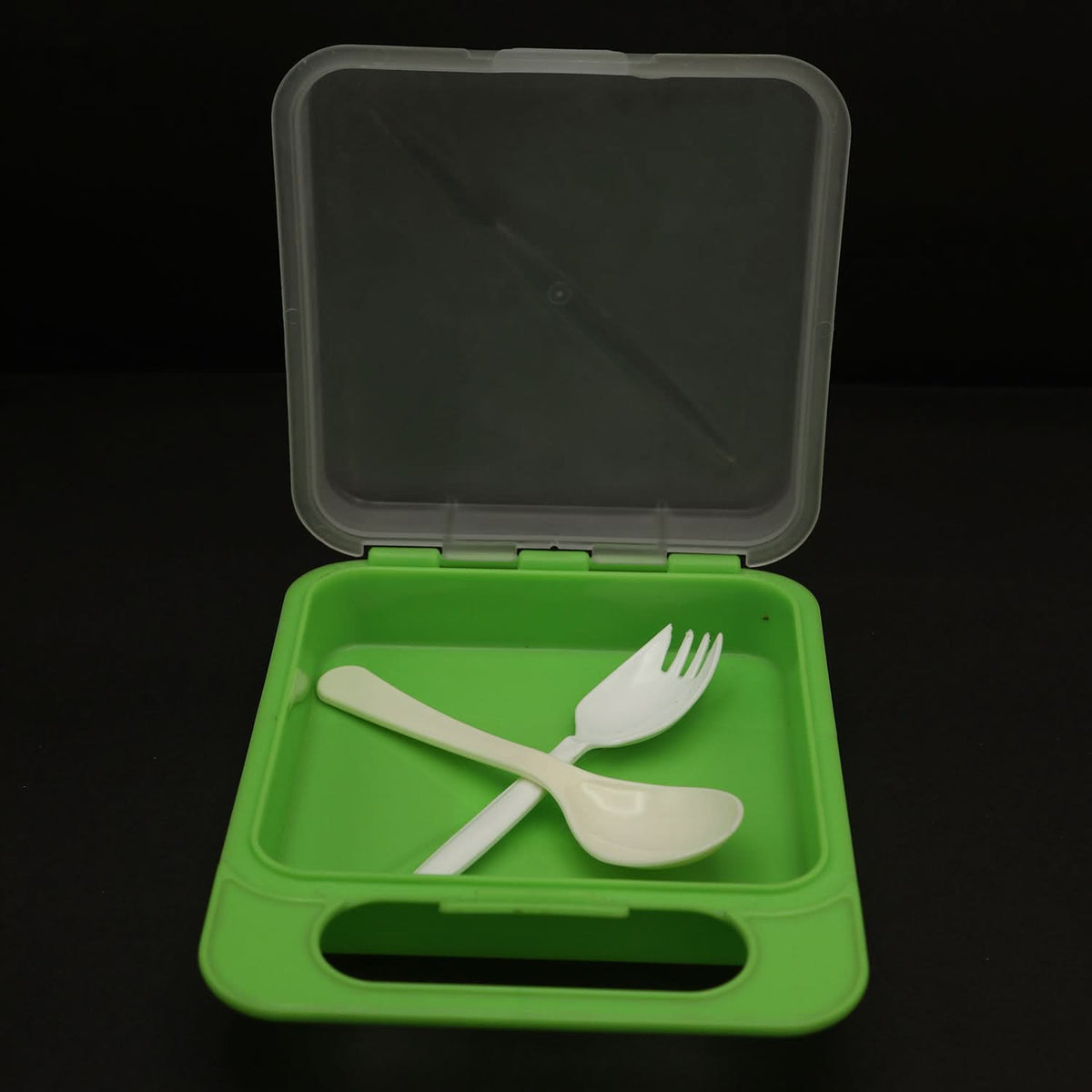 Sandwich Lunch Box - Green, Tiffin Boxes & Bottles, Chase Value, Chase Value