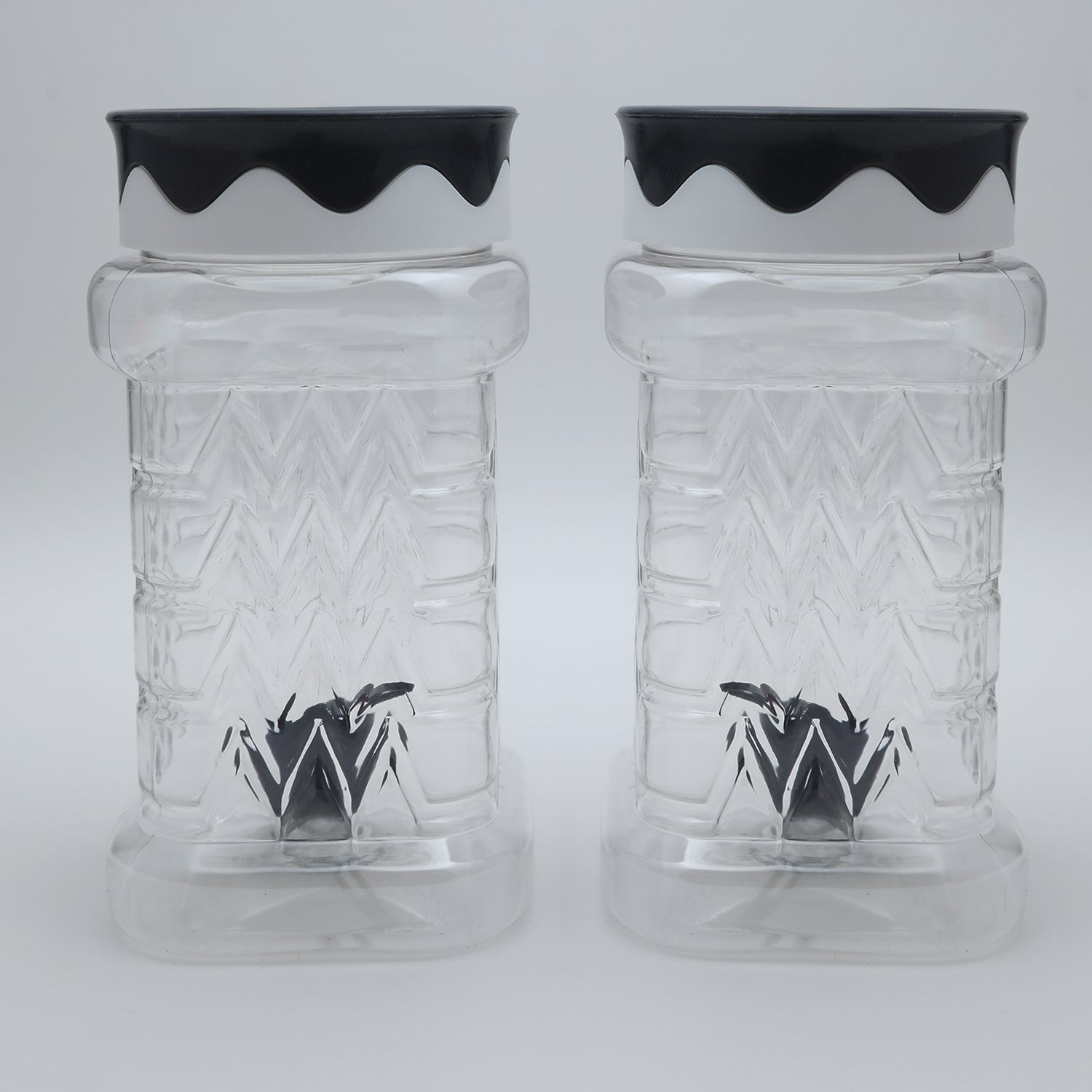 Safari Princess Jar Set 2Pcs 1050-ML, Storage Boxes, Safari, Chase Value