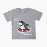Boys Half Sleeves T-Shirt - Grey, Boys T-Shirts, Chase Value, Chase Value