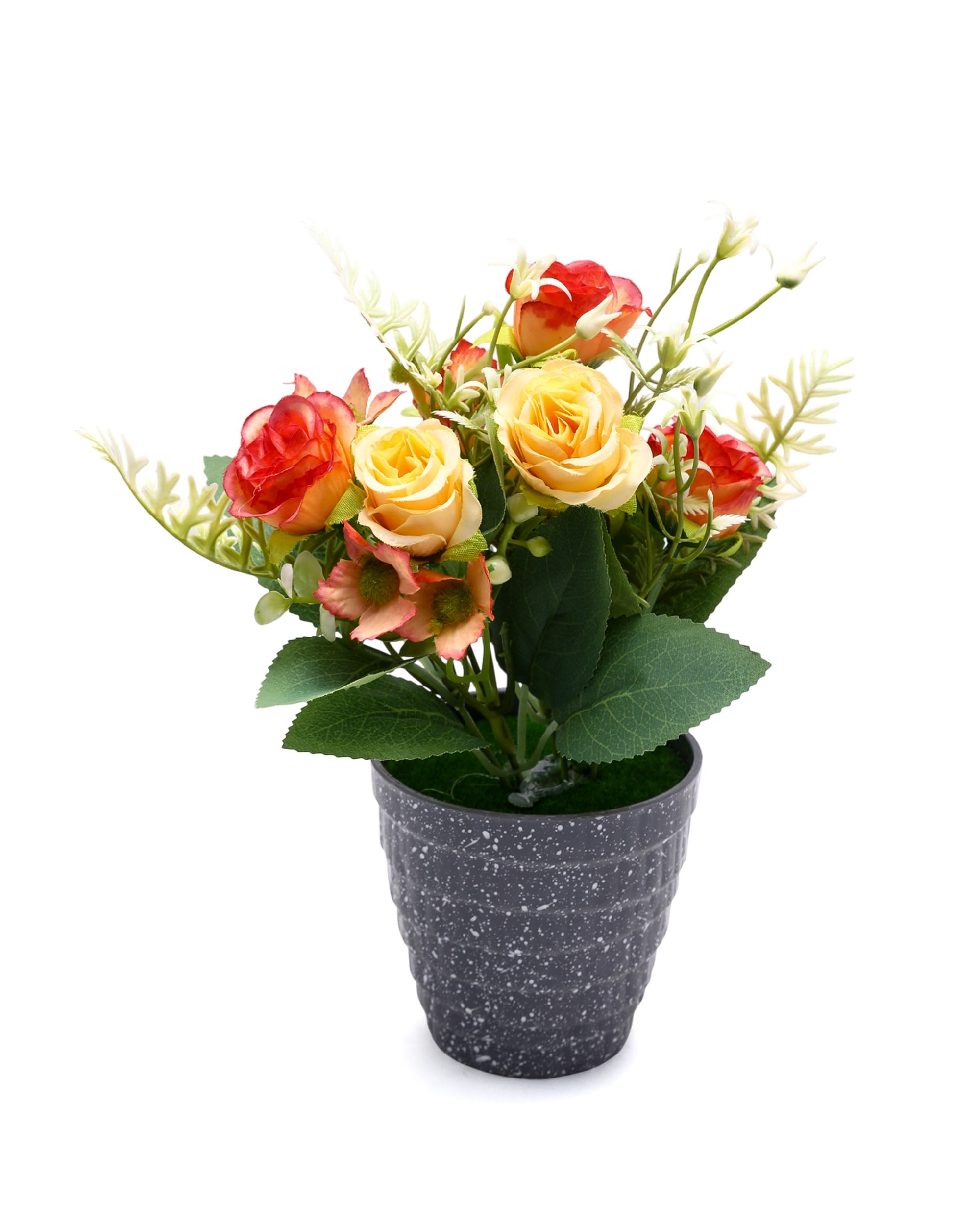 Flower Pot, Decoration, Chase Value, Chase Value