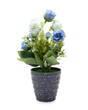 Flower Pot, Decoration, Chase Value, Chase Value