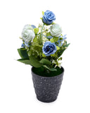 Flower Pot, Decoration, Chase Value, Chase Value