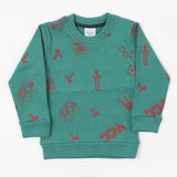Boys Full Sleeves SweatShirt - Flag Green, Boys Hoodies & Sweat Shirts, Chase Value, Chase Value