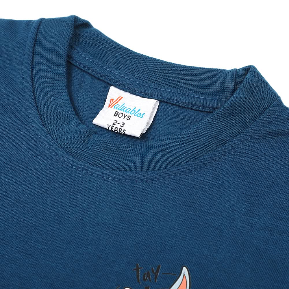 Boys Full Sleeves T-Shirt - Steel Blue, Boys T-Shirts, Chase Value, Chase Value