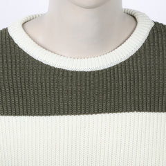 Eminent Men's Full Sleeve Sweaters - Olive