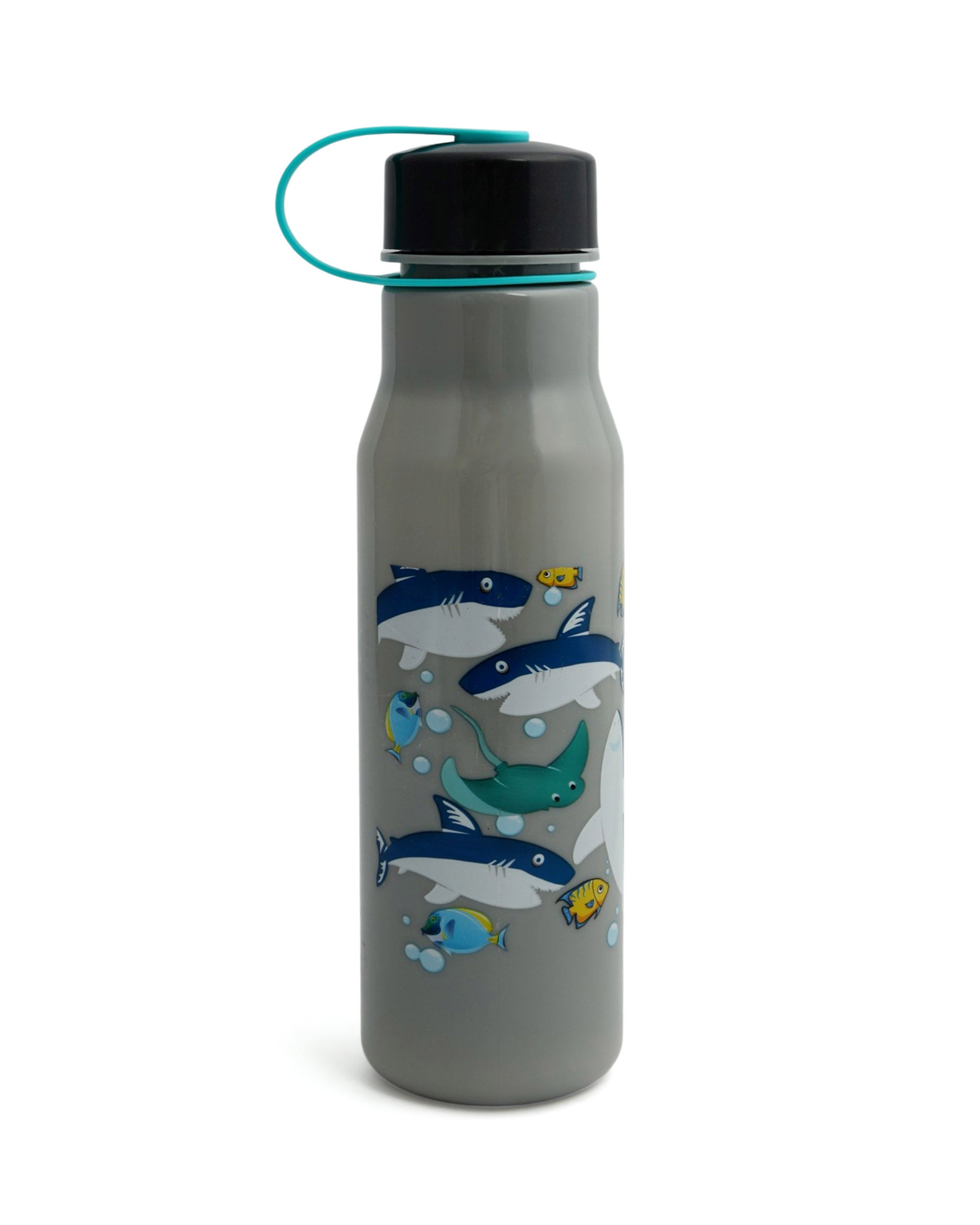 Safari Water Bottle - 800ml