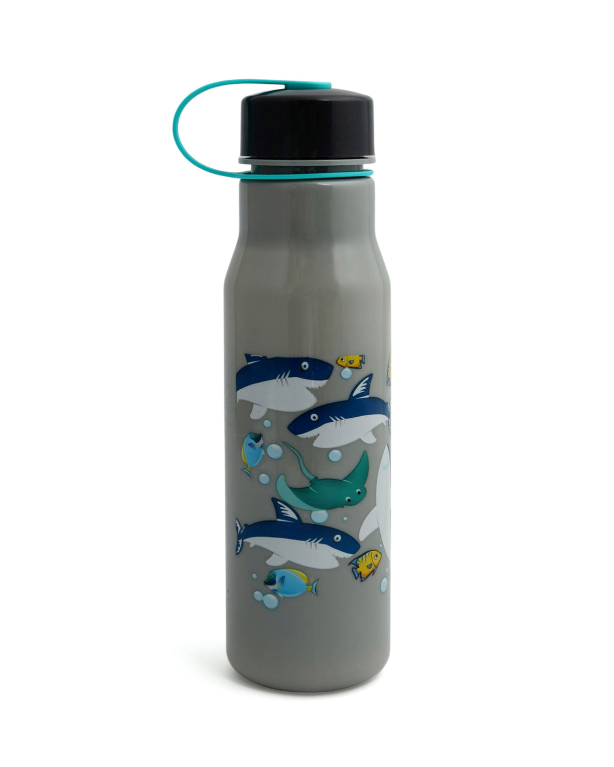 Safari Water Bottle - 800ml