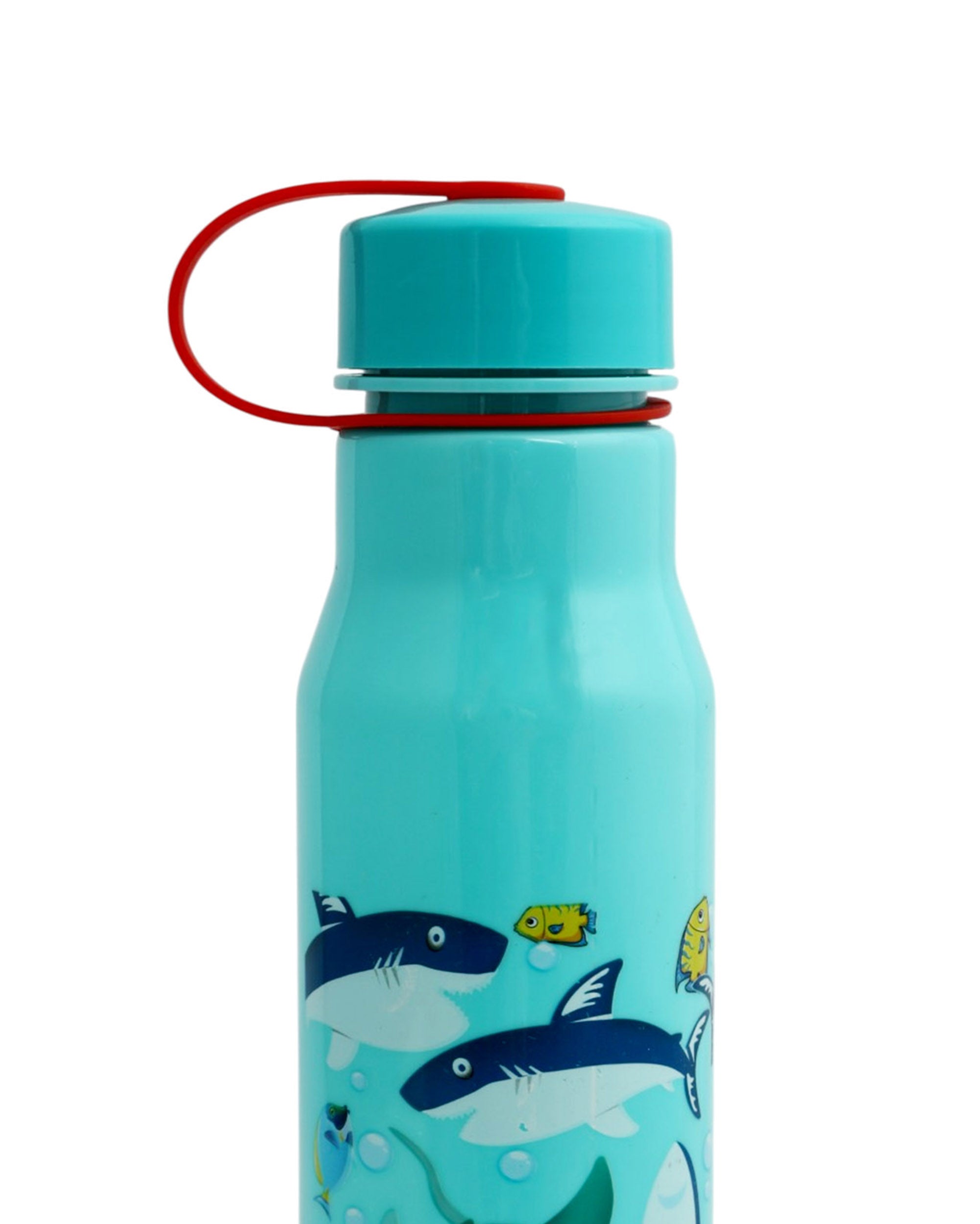 Safari Water Bottle - 800ml
