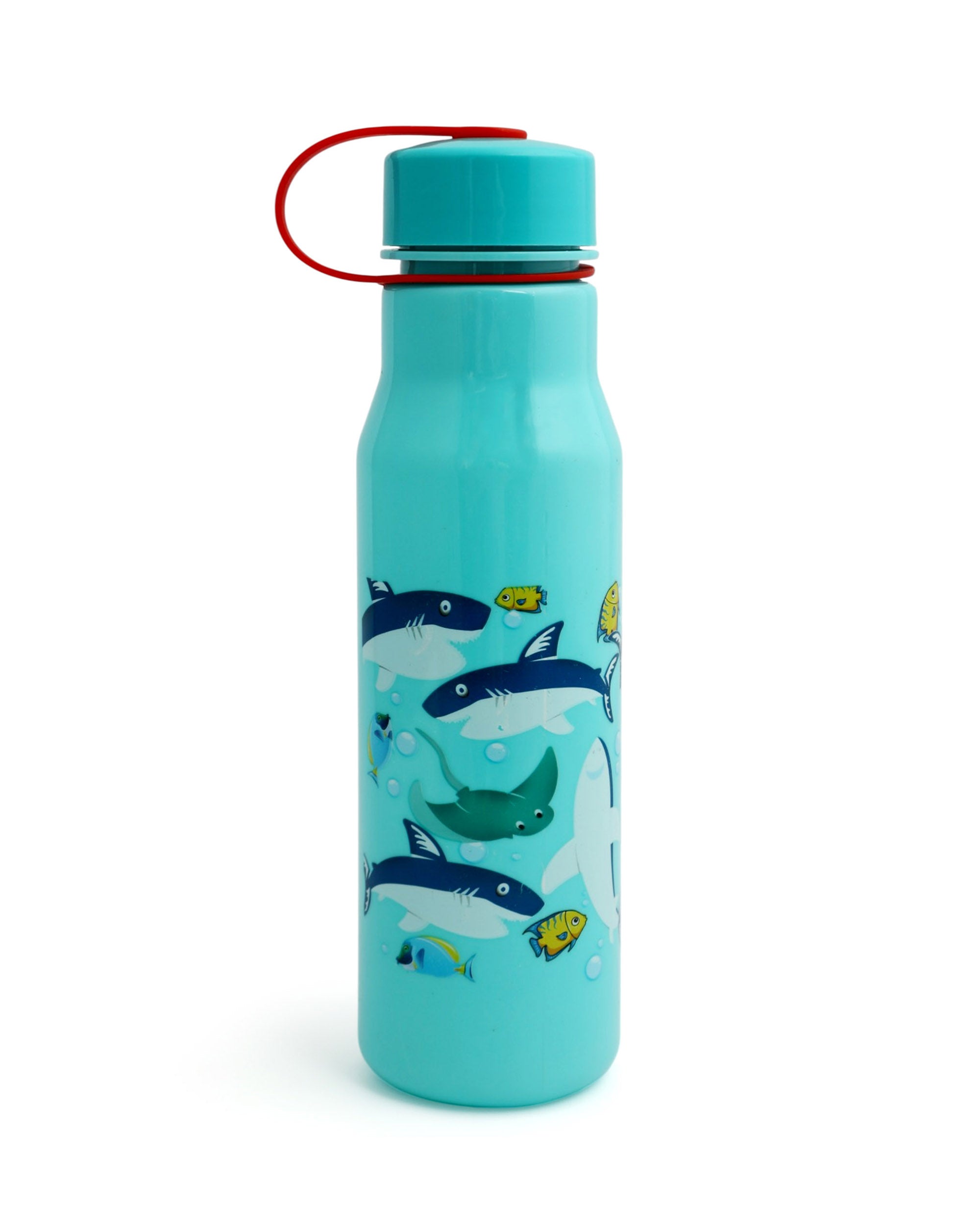 Safari Water Bottle - 800ml
