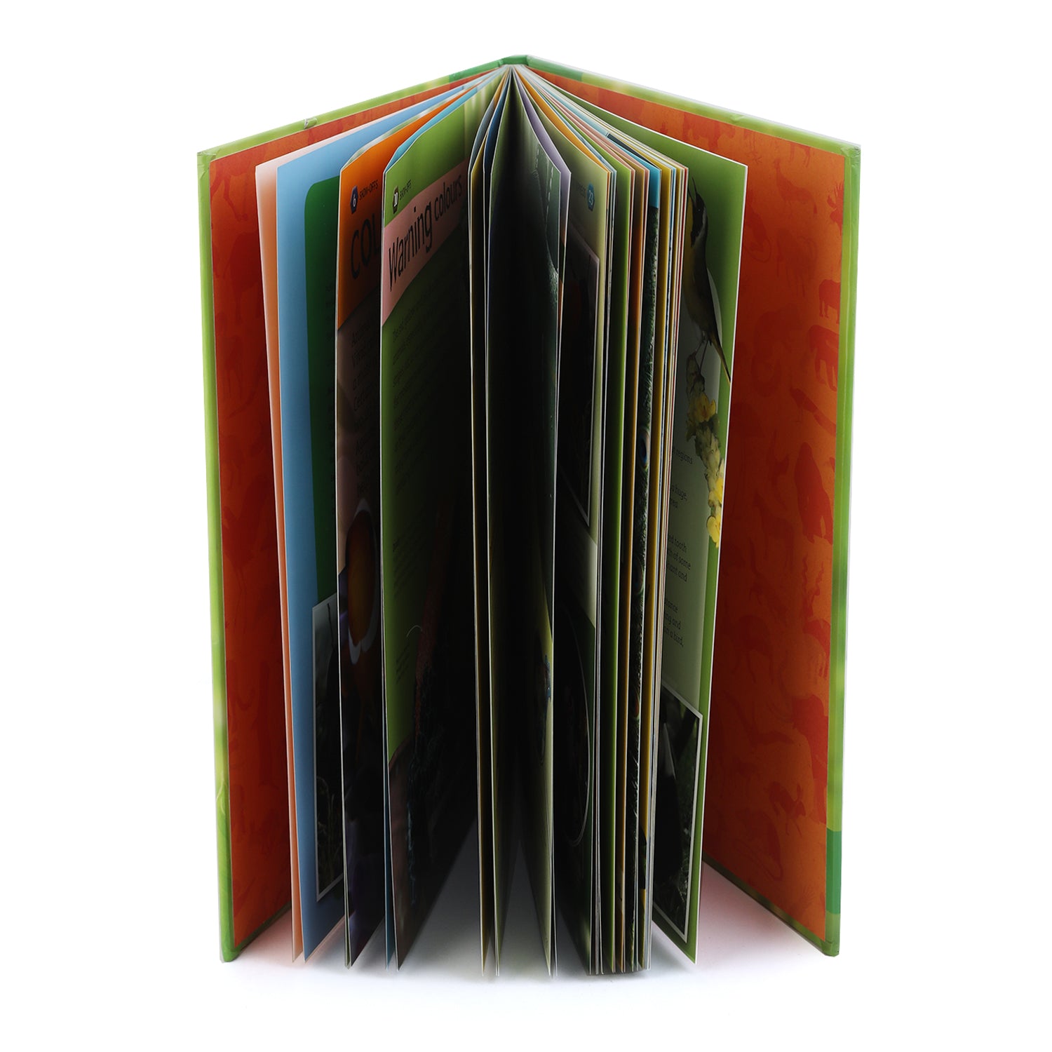 General Knowledge Animal Planet Wonderful Show - offs, Educational Books, Chase Value, Chase Value