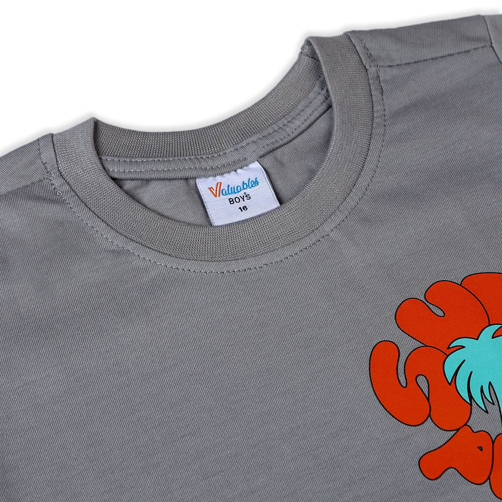 Boys Half Sleeves T-Shirt - Grey, Boys T-Shirts, Chase Value, Chase Value