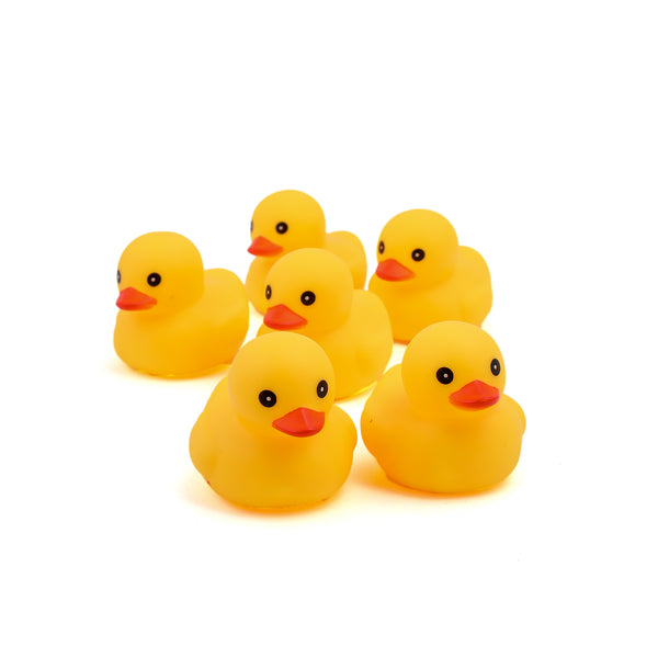 PVC Duck Pack Of 6