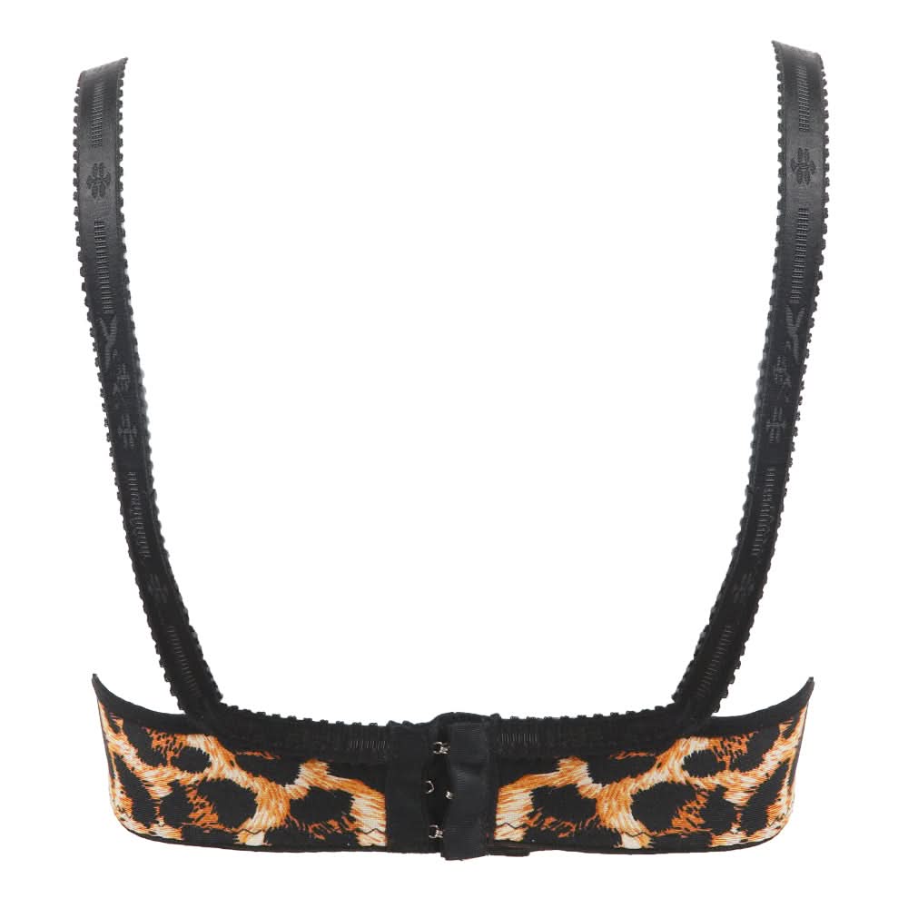 Women's Printed Foam Bra - Multi Color, Women Bras, Chase Value, Chase Value