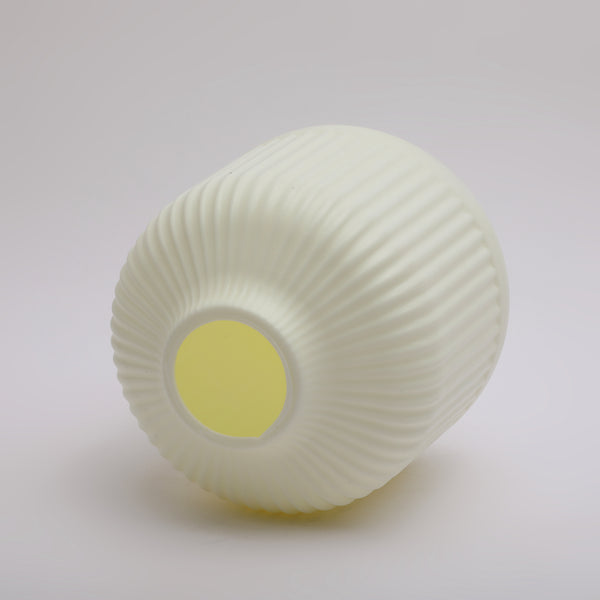 Vase Plastic