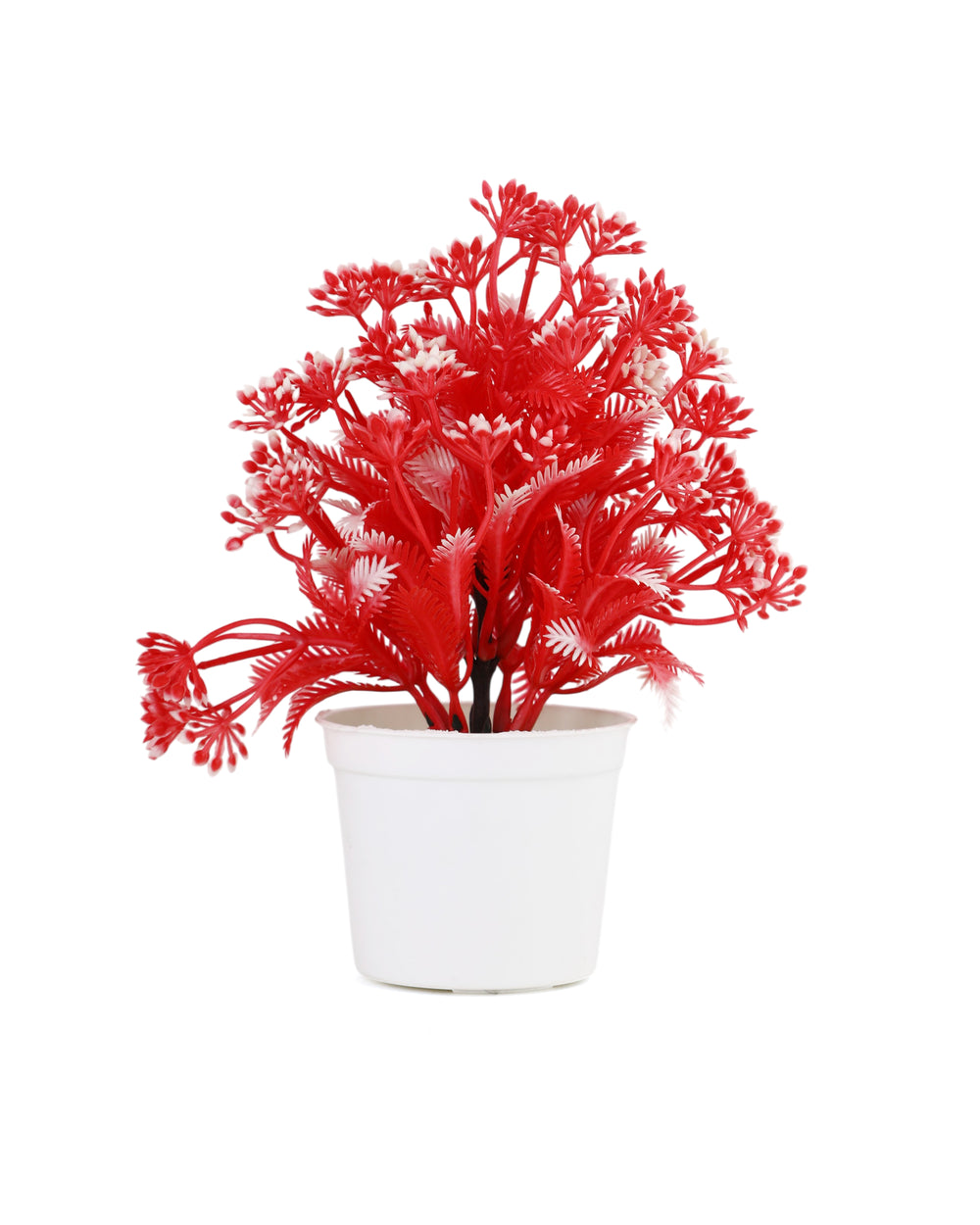 Flower Pot, Decoration, Chase Value, Chase Value