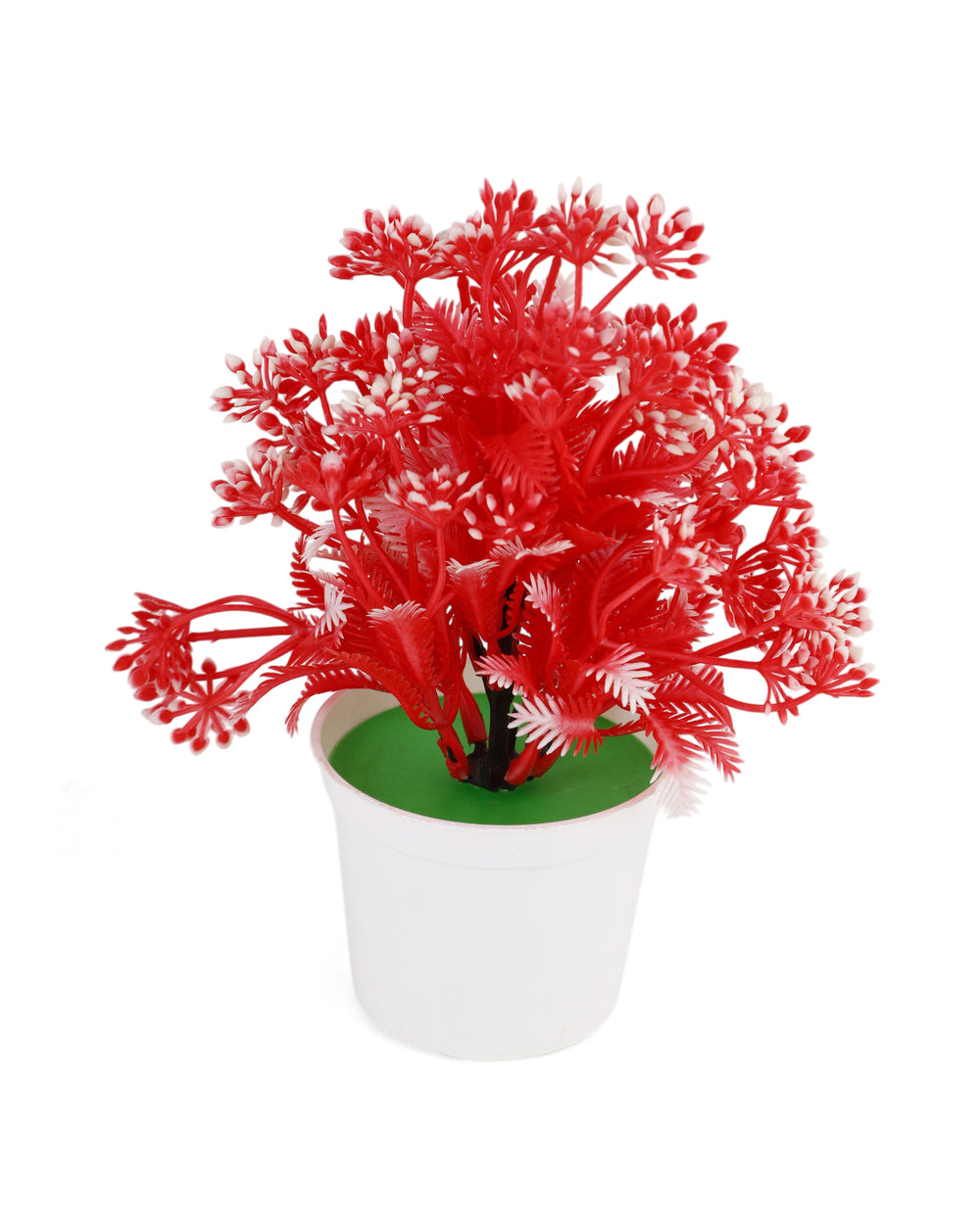 Flower Pot, Decoration, Chase Value, Chase Value