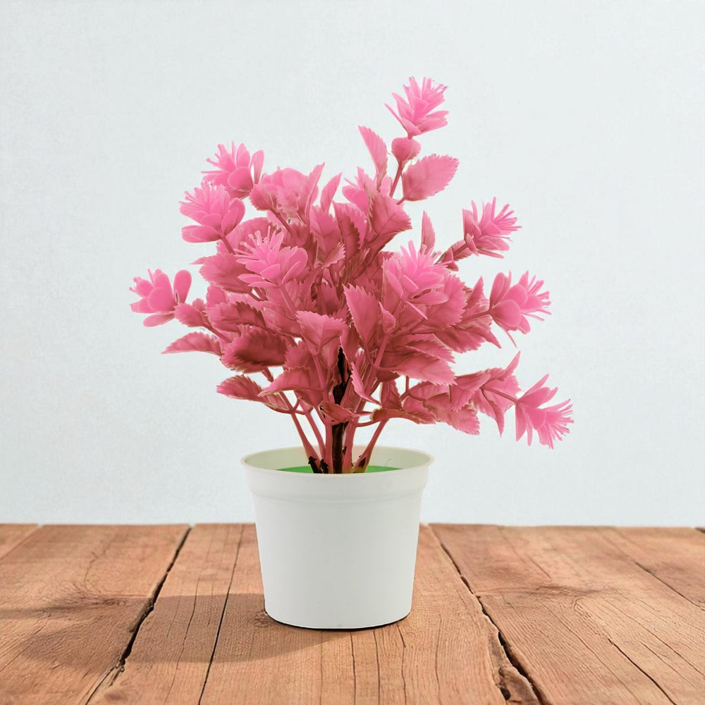 Flower Pot, Decoration, Chase Value, Chase Value