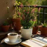 Flower Pot, Decoration, Chase Value, Chase Value