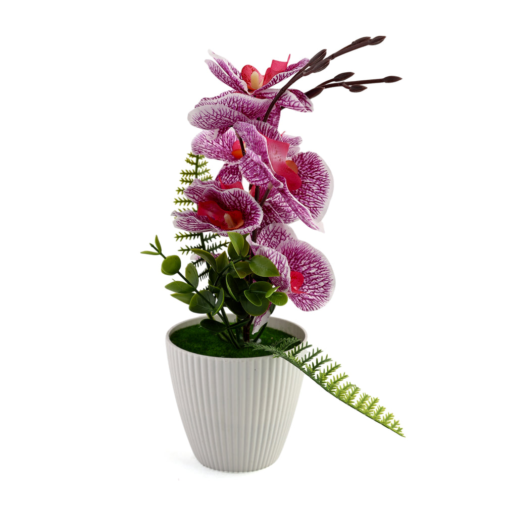 Flower Pot - Purple, Decoration, Chase Value, Chase Value
