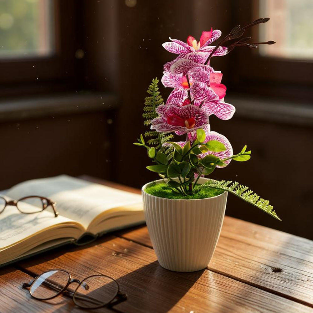 Flower Pot - Purple, Decoration, Chase Value, Chase Value