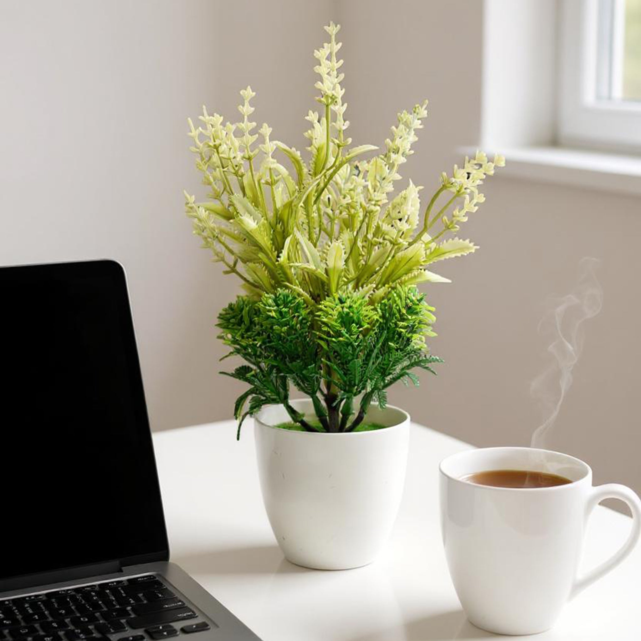 Flower Pot, Decoration, Chase Value, Chase Value