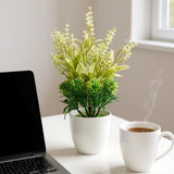 Flower Pot, Decoration, Chase Value, Chase Value