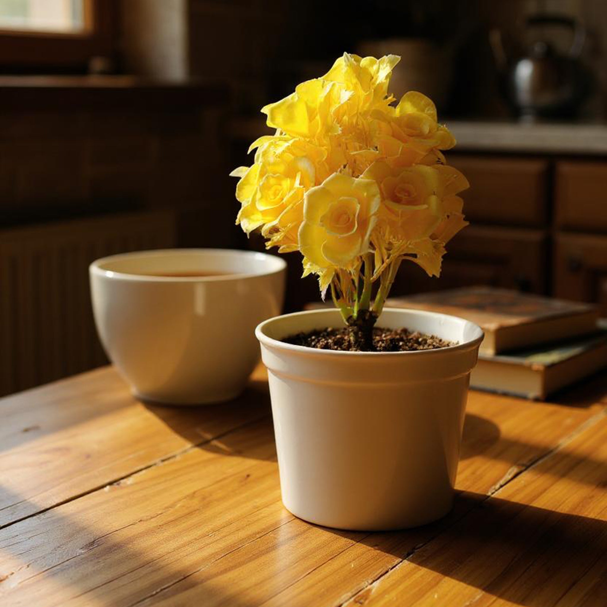 Flower Pot, Decoration, Chase Value, Chase Value