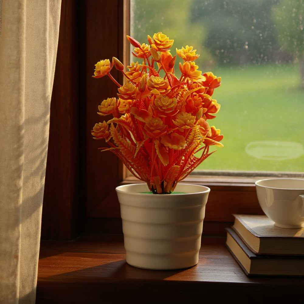 Flower Pot, Decoration, Chase Value, Chase Value