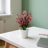 Flower Pot, Decoration, Chase Value, Chase Value