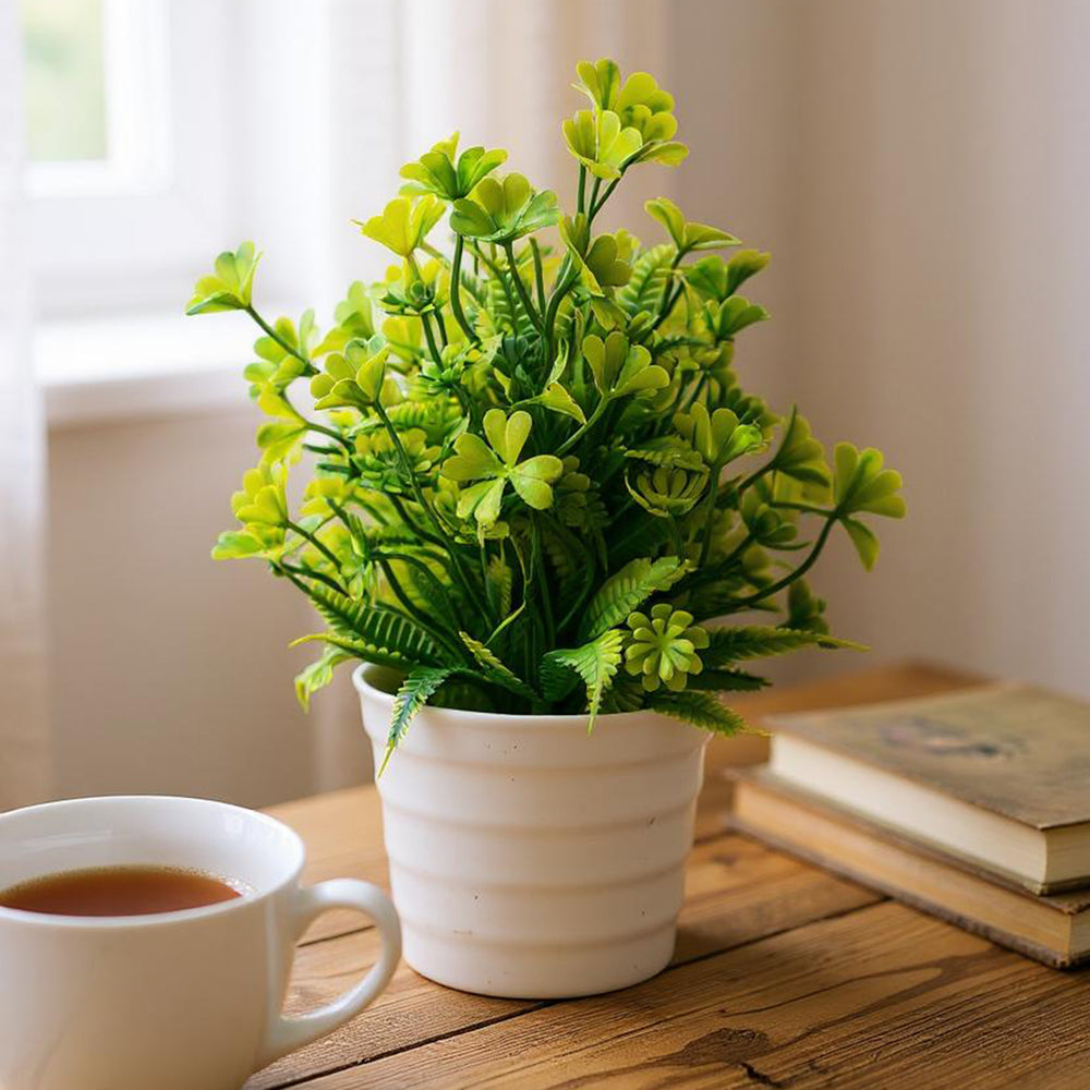 Flower Pot, Decoration, Chase Value, Chase Value