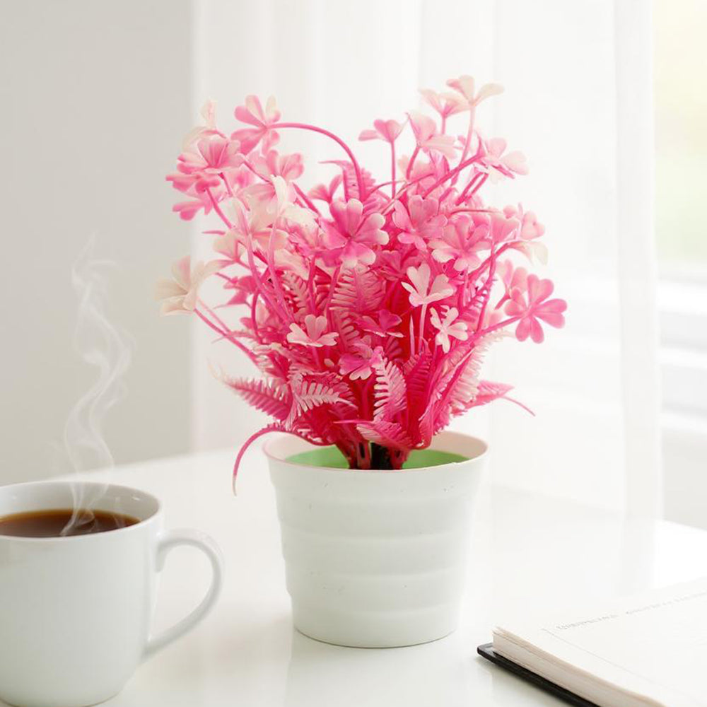 Flower Pot, Decoration, Chase Value, Chase Value