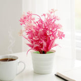 Flower Pot, Decoration, Chase Value, Chase Value