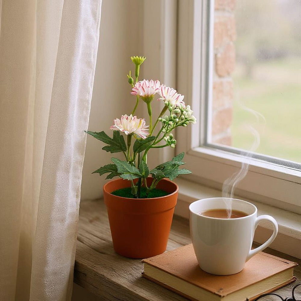 Flower Pot, Decoration, Chase Value, Chase Value