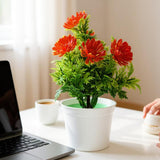 Flower Pot, Decoration, Chase Value, Chase Value