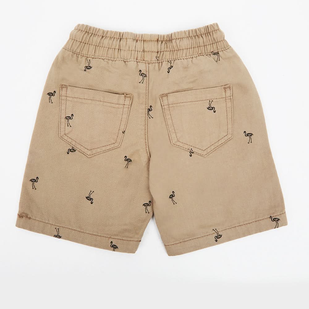 Boys Cotton Short - Beige, Boys Shorts, Chase Value, Chase Value